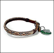 Dog Collars