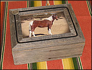 Memory Box